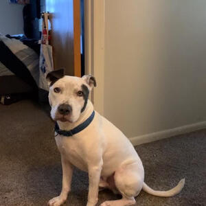 Fundraising Page: Connor Roessler